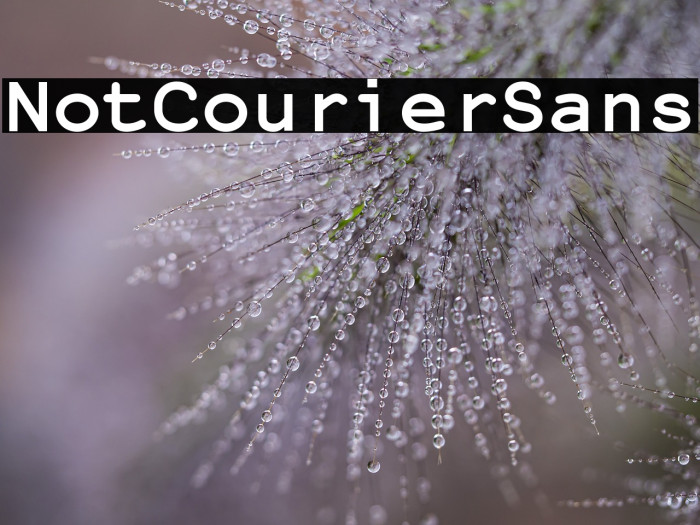 NotCourierSans Example 3