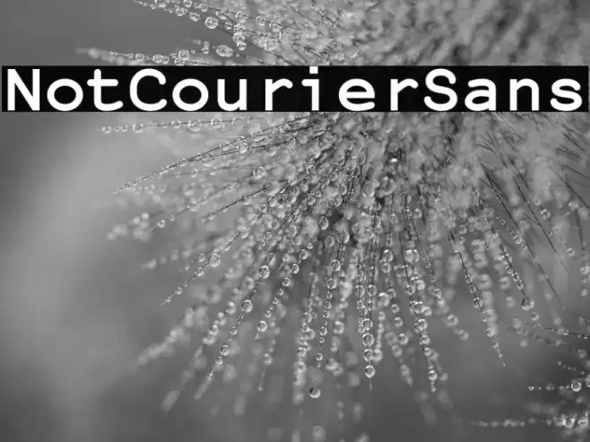 NotCourierSans Example 3
