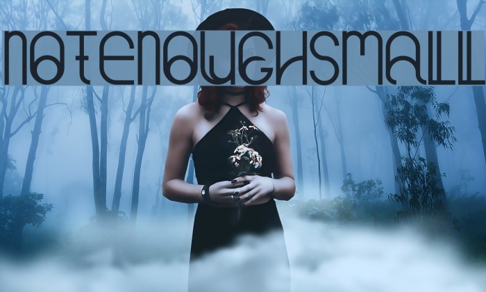 NotEnoughSmall Font examples