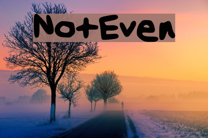 NotEven Font examples