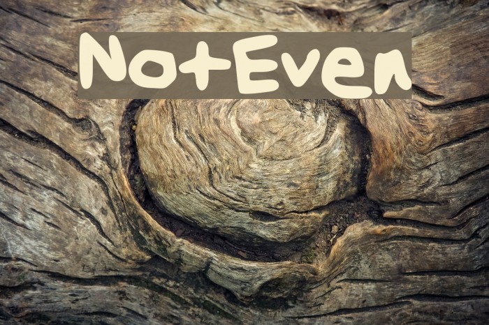 NotEven Font examples