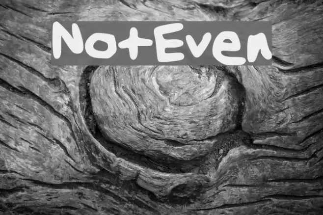 NotEven خط examples