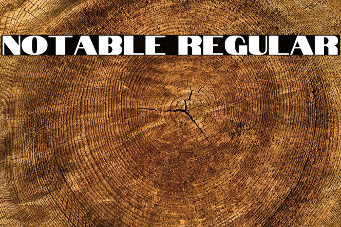 Notable Regular Font examples