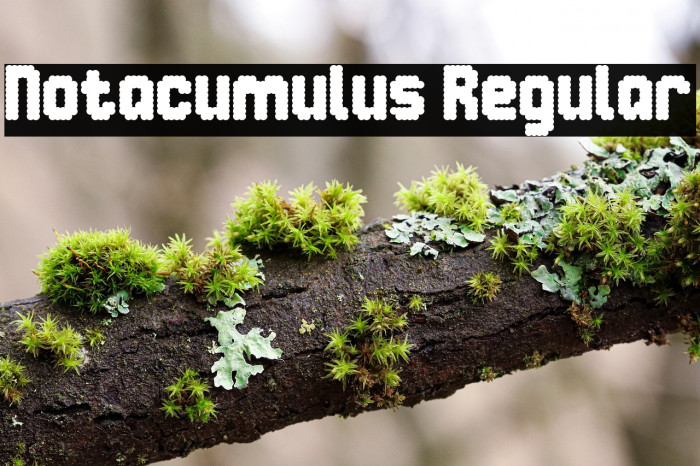 Notacumulus Regular Example 2