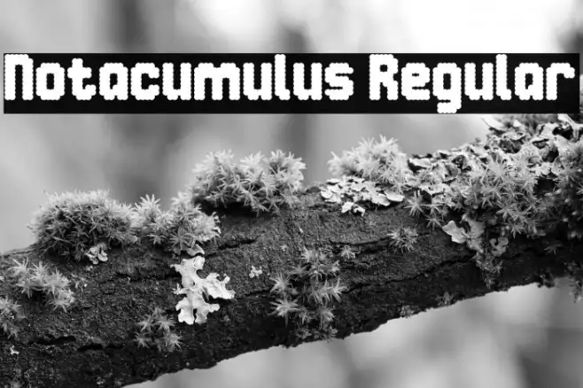 Notacumulus Regular Example 2