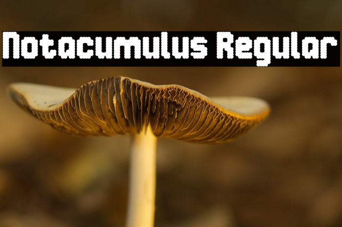 Notacumulus Regular Example 3