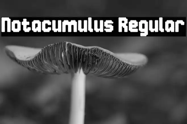 Notacumulus Regular Example 3