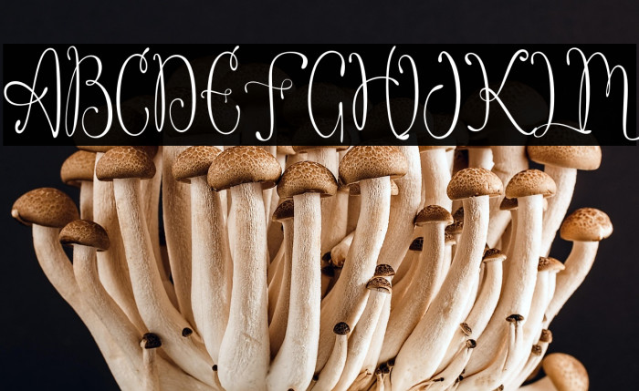 Notalistic Example 3