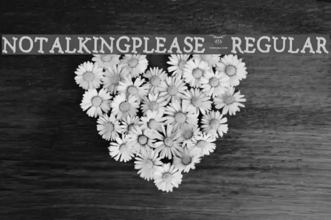 Notalkingplease-Regular Font examples