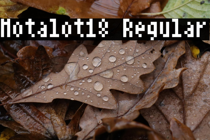 Notalot18 Regular Example 2