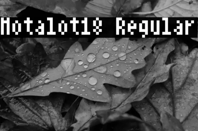 Notalot18 Regular Font examples