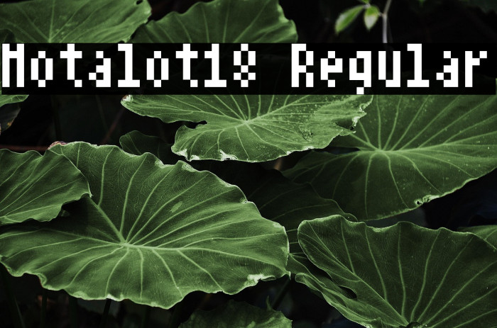 Notalot18 Regular Example 3