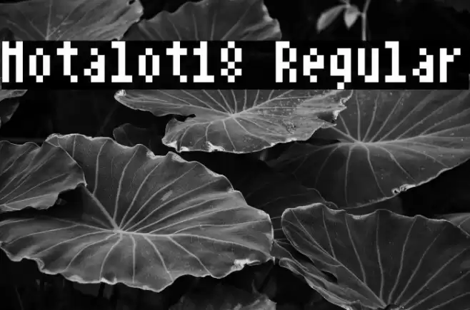 Notalot18 Regular Font examples