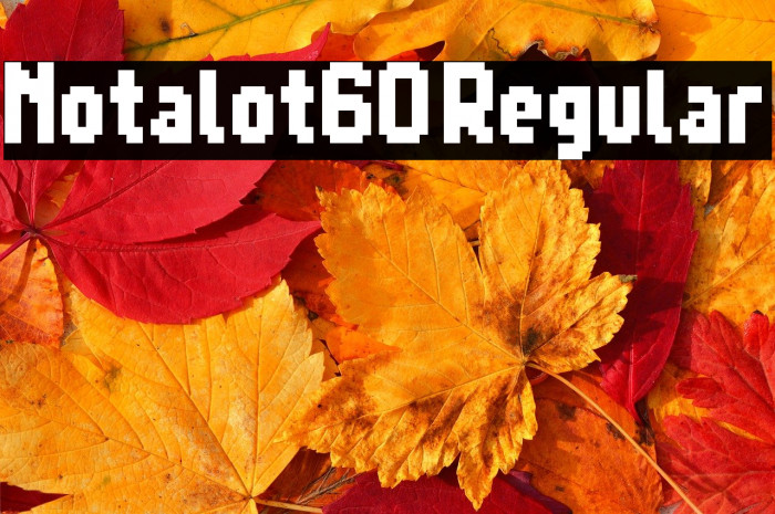 Notalot60 Regular Example 3