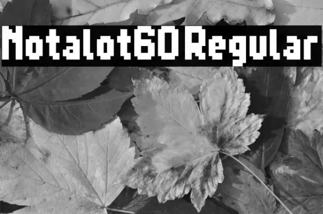 Notalot60 Regular Example 3