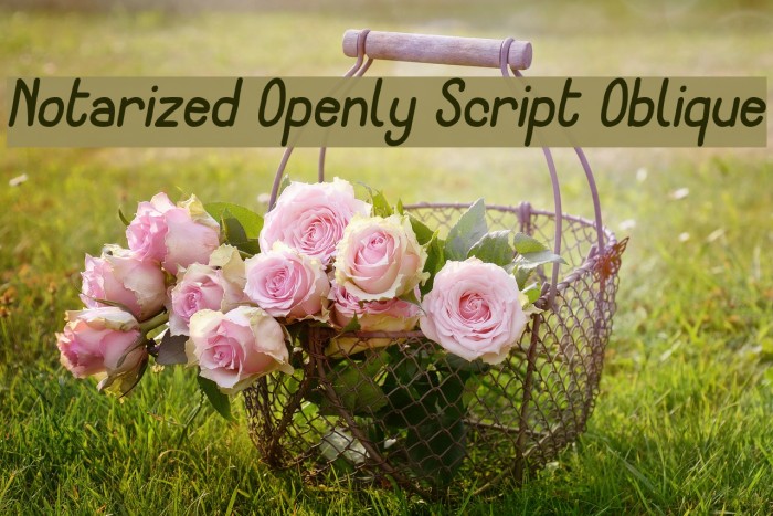 Notarized Openly Script Oblique Font examples