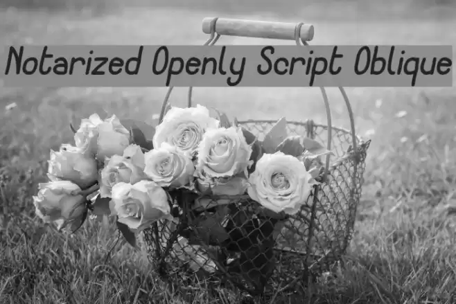 Notarized Openly Script Oblique फ़ॉन्ट examples