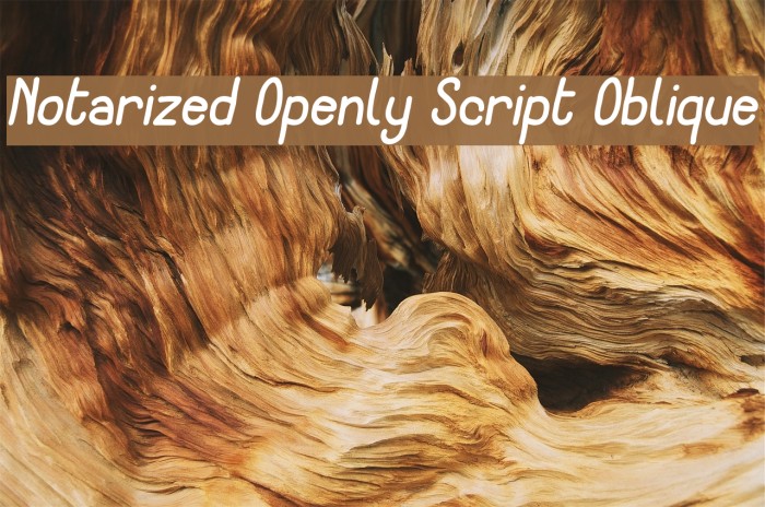 Notarized Openly Script Oblique Font examples
