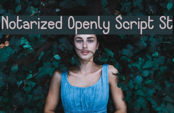 Notarized Openly Script St Font examples