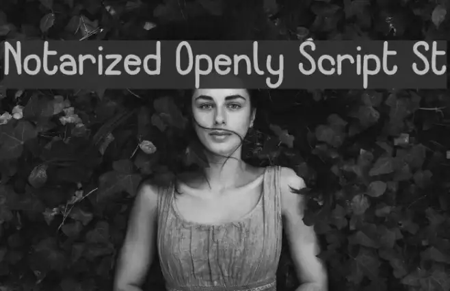 Notarized Openly Script St Example 1