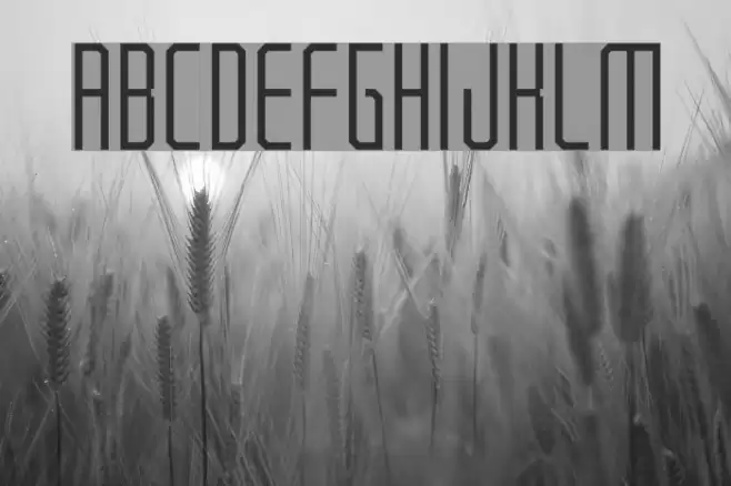 Notchenarow Font examples