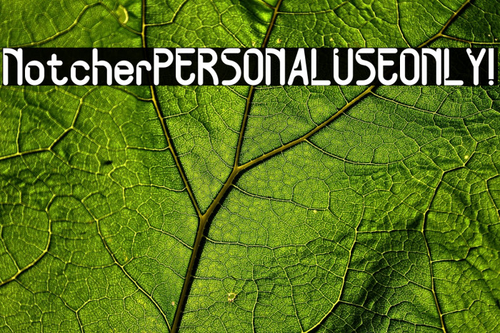 Notcher PERSONAL USE ONLY! Example 1