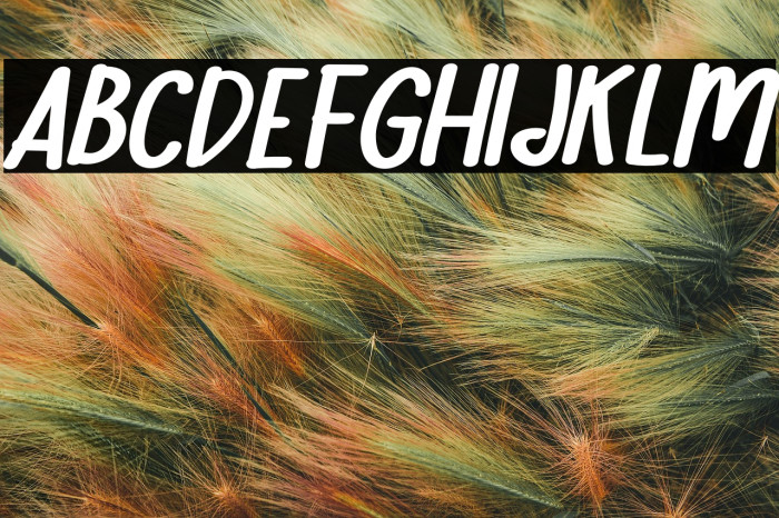 Note Kids School Italic Example 3