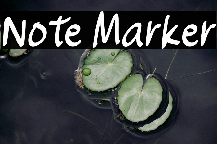 Note Marker Example 3