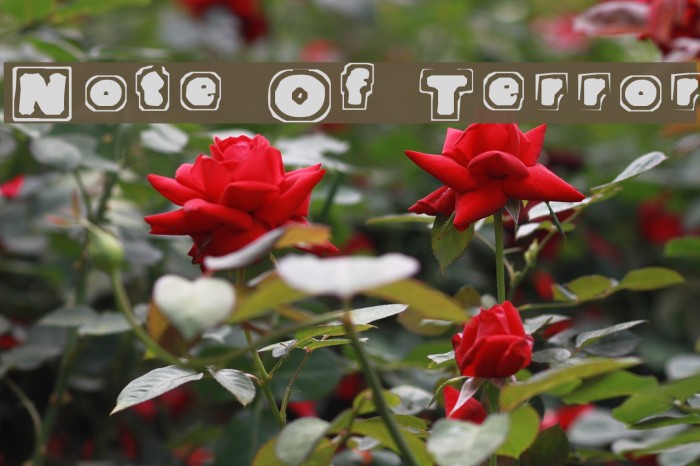 Note Of Terror Font examples