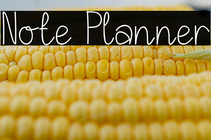 Note Planner Example 1