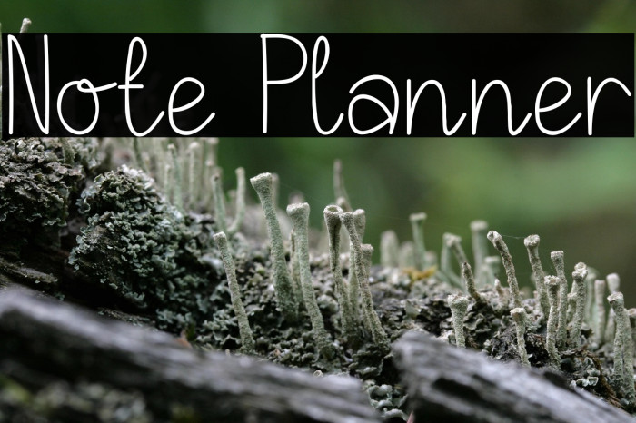 Note Planner Example 2