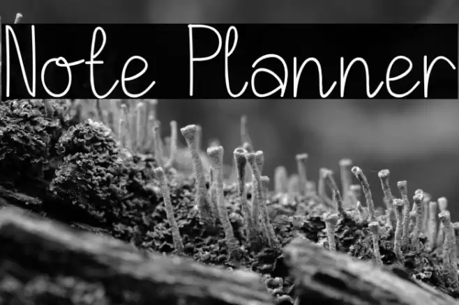 Note Planner Font examples