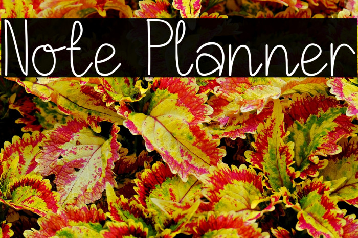 Note Planner Example 3