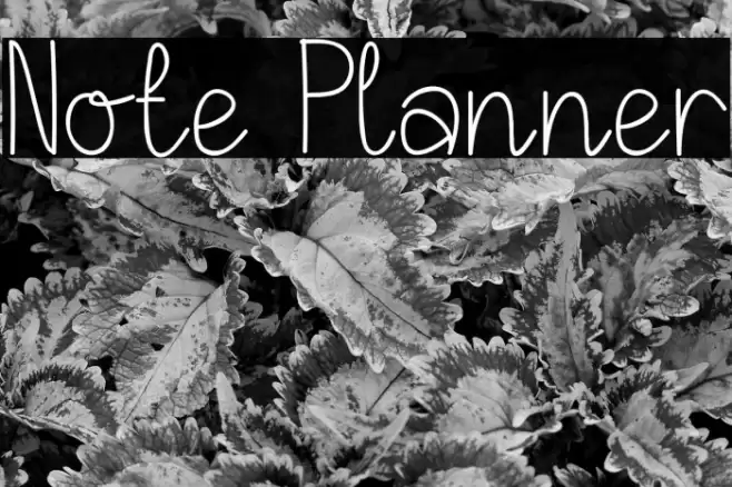 Note Planner Font examples