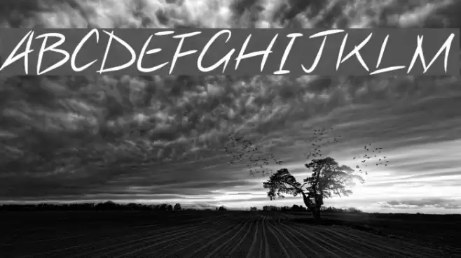 Note this Шрифта examples