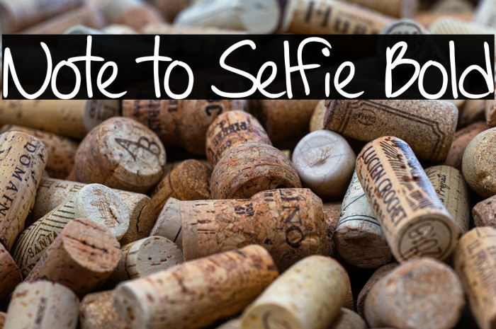 Note to Selfie Bold Fuentes examples