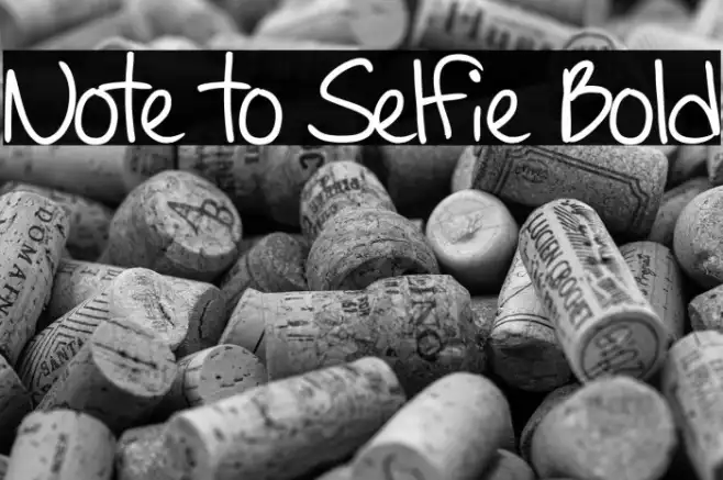 Note to Selfie Bold Example 1