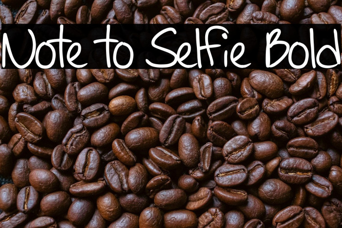 Note to Selfie Bold Fuentes examples