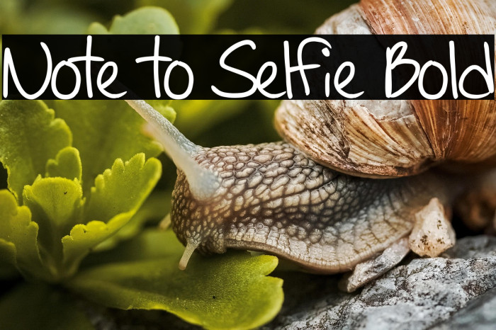 Note to Selfie Bold Fuentes examples