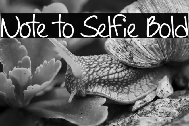 Note to Selfie Bold Example 3