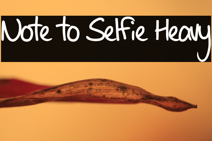 Note to Selfie Heavy Caratteri examples