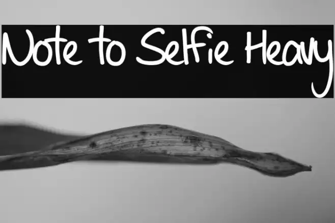 Note to Selfie Heavy Example 1