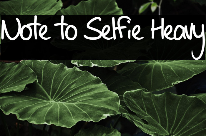 Note to Selfie Heavy Caratteri examples