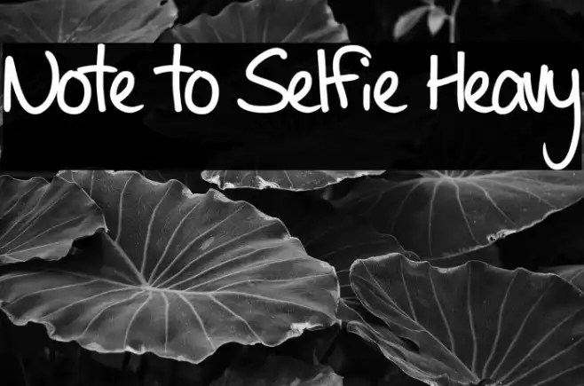 Note to Selfie Heavy Example 2