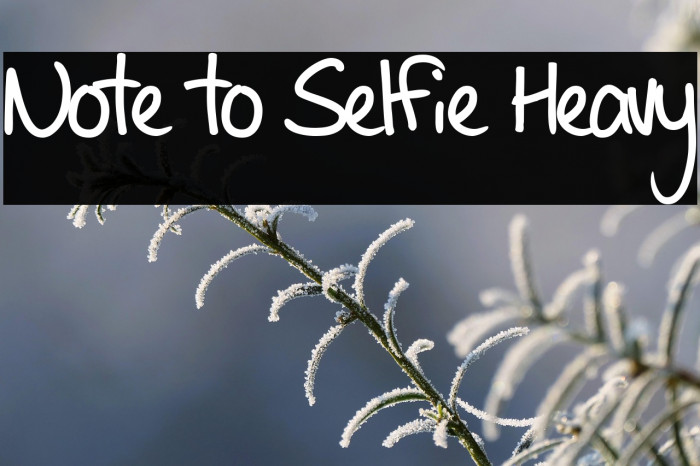 Note to Selfie Heavy Caratteri examples