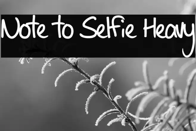 Note to Selfie Heavy Example 3
