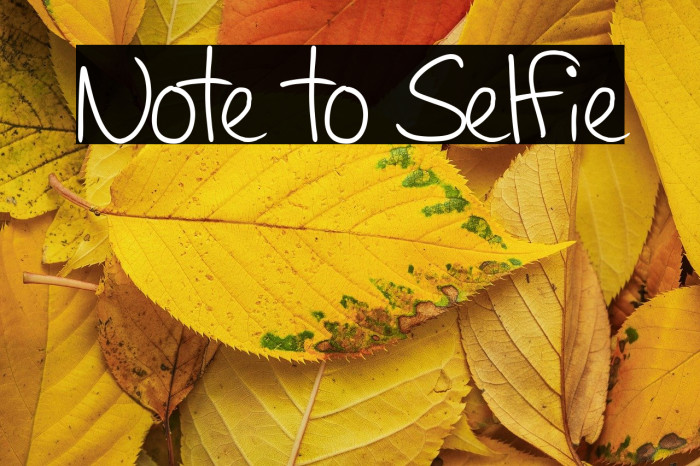 Note to Selfie Fonte examples