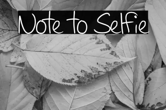 Note to Selfie Example 1