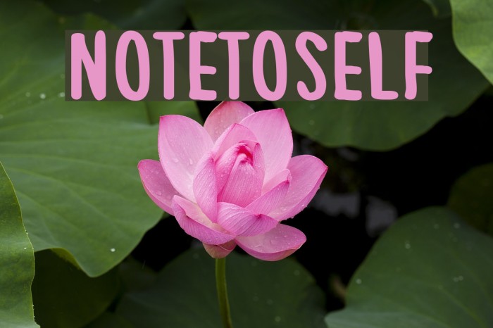 NoteToSelf Font examples