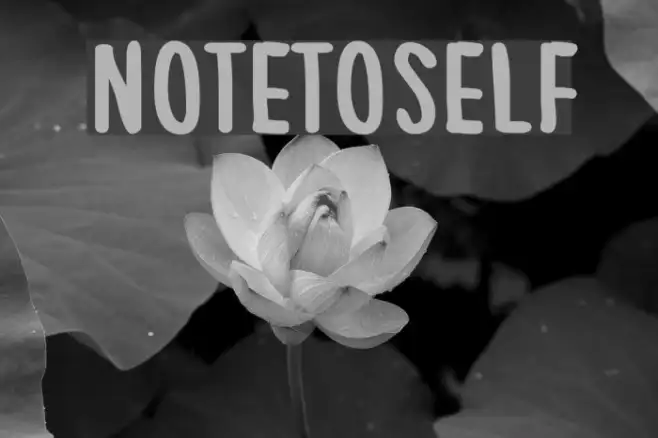 NoteToSelf Example 1